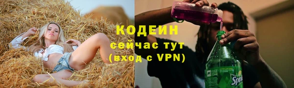 винт Абаза