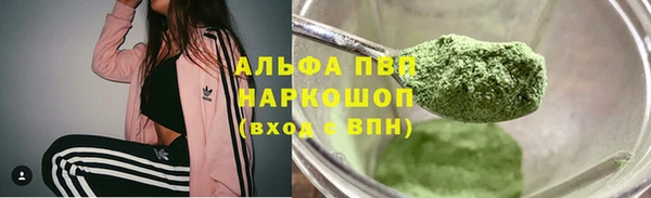 винт Абаза