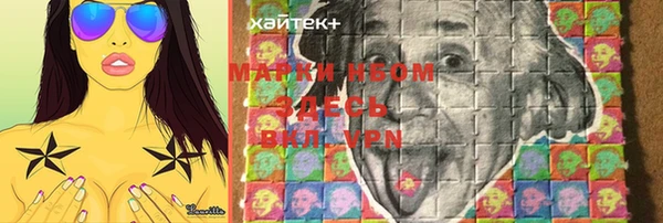 винт Абаза
