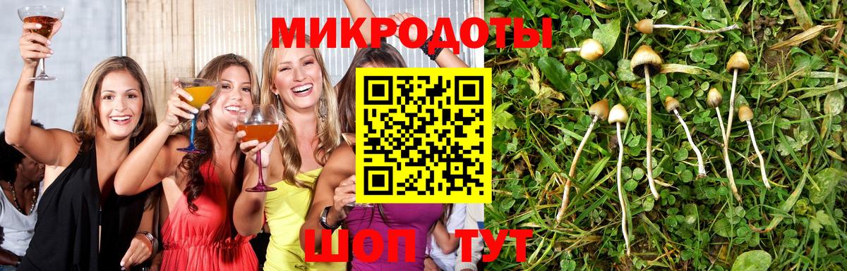 Новосибирск  Псилоцибиновые грибы Psilocybe  Вход с VPN 