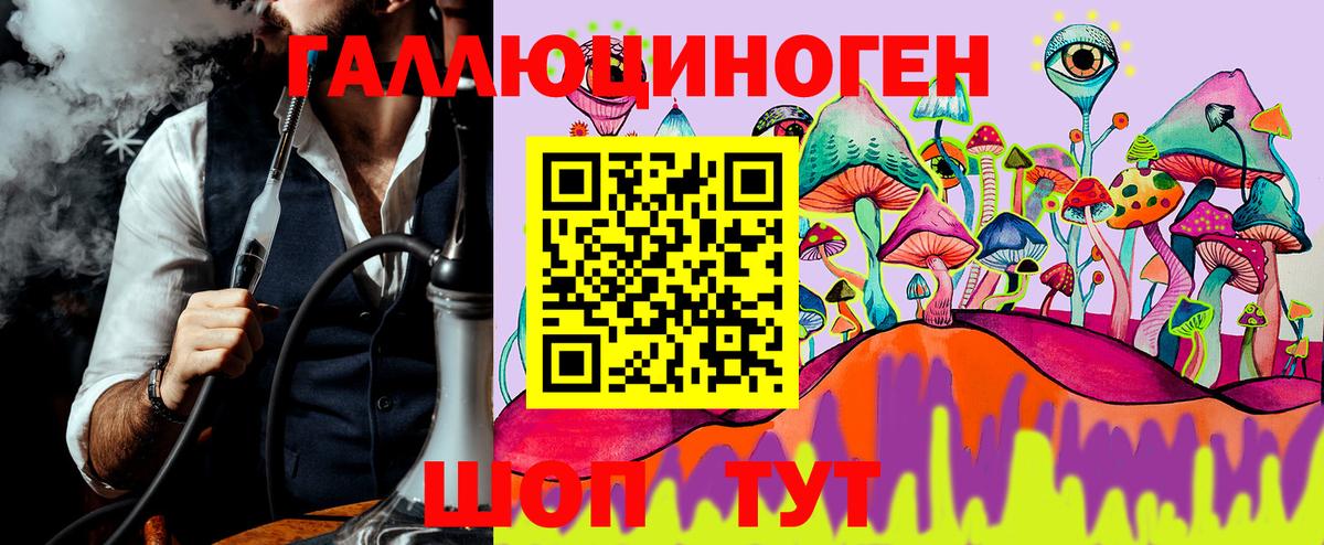 Галлюциногенные грибы Psilocybe Новосибирск